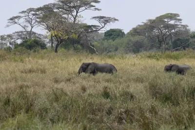 DSC_3601 (Large).JPG